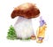 Watercolor drawing - adventures of a mouse mushroom picking, giant mushroom