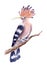 Watercolor drawing of a bird - hoopoe on a branch