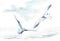 Watercolor drawing of birds. seagulls in flight