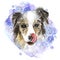 Watercolor drawing of a collie breed dog in the snow, snowflakes, licking, pink tongue, portrait of a dog, winter cold, for a new