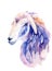 Watercolor drawing of a cute animal - purple lamb