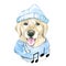 Watercolor drawing of a dog breed Golden Retriever in a hat and scarf