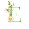 watercolor drawing letter E with flowers