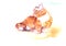 Watercolor drawing lying sleeping striped ginger cat