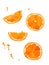 Watercolor drawing of orange, pieces of fruit. Summer tropical food