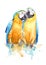 Watercolor drawing of a pair of birds in love - Blue and yellow macaw
