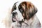 watercolor drawing of a pet - dog. breed St. Bernard. Generative AI