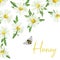 Watercolor drawing, postcard, poster on the theme of beekeeping, bees, honey. cute bee and chamomile flowers on a white background