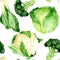 watercolor drawing. seamless pattern. cabbage, cauliflower, broccoli, lettuce. green vegetables realistic illustration