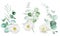 watercolor drawing, a set of bouquets of white rosehip flowers and eucalyptus leaves. clip art design for wedding, flowers and eu