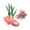 Watercolor drawing set of coral, ribbon algae, bottom stone and a lionfish on white background. Underwater picture for