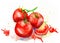 Watercolor drawing of vegetables. juicy tomatoes