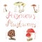 Watercolor drawings of forest mushrooms - a set of poisonous mushrooms, toadstools