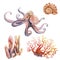 Watercolor drawings on the marine theme - octopus, coral, shell