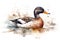 Watercolor duck illustration on white background