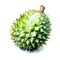 Watercolor durian isolated on white background. Generative AI