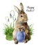 Watercolor Easter card with bunny, snowdrops and colored egg. Hand painted print with traditional symbols isolated on