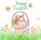 Watercolor Easter card with cute bunny in basket, colored eggs and green grass, isolated on white background.