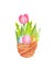 Watercolor easter illustration. tulip, eggs, leaves and flowers  in basket composition isolated on white background. Greeting card