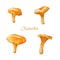 Watercolor edible mushrooms. Bright hand-drawn four  chanterelle.