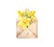 Watercolor envelope with narcissus flowers, bud, leaf. Botanical illustration yellow spring flower for cards, invitations, wedding