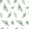 Watercolor evergreen christmas seamless pattern with fir branch, twigs spruce, winter greenery floral