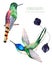 Watercolor exotic birds collection.