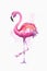 Watercolor exotic flamingo. Summer decoration print for wrapping, wallpaper, fabric, card. illustration