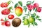 Watercolor exotic fruits, bergamot, coconut, dragon fruit, mango, peach, pomegranate, tamarillo, isolated background,