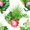 Watercolor exzotic print, leaves palm and protea flowers. Pattern with tropical plants isolated on white background may be used as