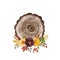 Watercolor fall wood slice arrangement. Harvest and Thanksgiving illustration. Orange, yellow, red flowers and autumn leaves