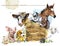 Watercolor farms animal collection. Cute hand drawn illustration of foal, piggy, chicken, dog, duckling, sheep, goat, calf, donkey