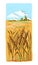 Watercolor Field of Wheat, Barley or Rye