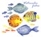 Watercolor fishes set