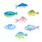 Watercolor fishes on a white background. Vector set, cartoon ill