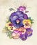 Watercolor Flora Collection: Viola