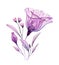 Watercolor floral arrangement. Hand painted artwork with transparent violet flower and purple leaves isolated on white