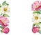 Watercolor floral background with camellia and rose hip. Banner with borders on sides and place for text. Realistic