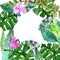 Watercolor Floral background with Tropical orchid flowers, leave