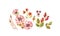 Watercolor floral collection. Autumn plants. Pink and golden wild flowers: rose hip, briar, leaves, isolated on white