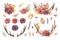 Watercolor floral fall. Botanical boho autumn with pink orange flowers and leaves