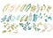 Watercolor floral set. Colorful green floral collection with leaves, drawing watercolor. Set of floral elements for your