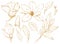 Watercolor floral set with golden flowers. Hand painted line art magnolias and leaves isolated on white background