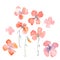 Watercolor floral set with red poppies isolated