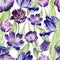 Watercolor floral tulip backgraund. Seamless colorful spring pattern. Watercolour violet tulip plant. Purple blossom