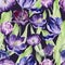 Watercolor floral tulip backgraund. Seamless colorful spring pattern. Watercolour violet tulip plant. Purple blossom