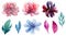 Watercolor floral vector clip art set. Pink flowers