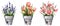 Watercolor flower arrangements in pots. Tulips, lilies, lavender. Great for stickers, spring cards, paper and decor