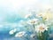 watercolor flower background - white daisies