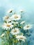 watercolor flower background - white daisies